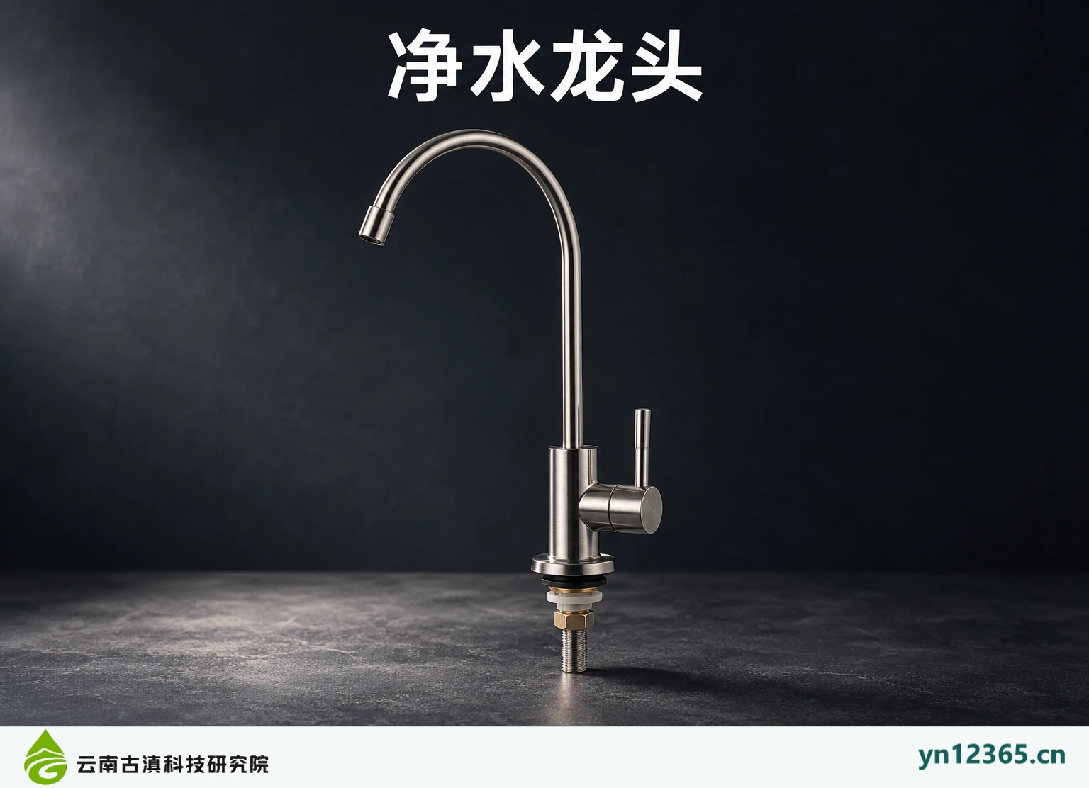 净水龙头