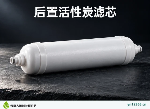 后置活性炭滤芯，AI辅助示意