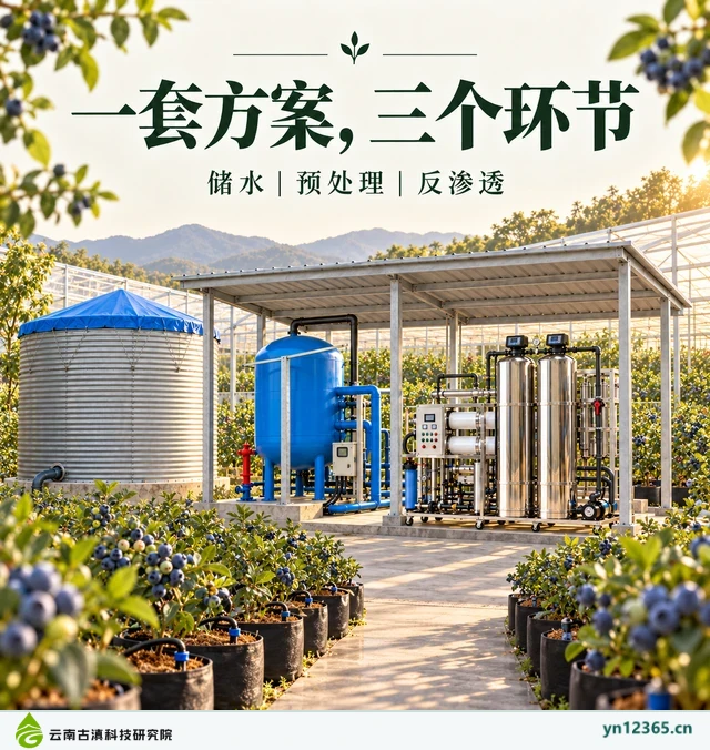 设备布局与局部配套示意：02_三个环节（AI辅助，非项目实拍）