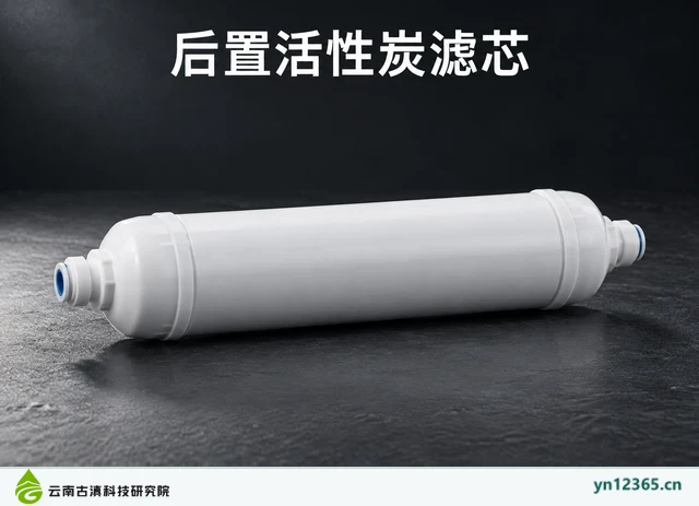 后置活性炭滤芯，AI辅助示意