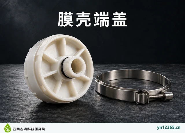 膜壳端盖，AI辅助示意