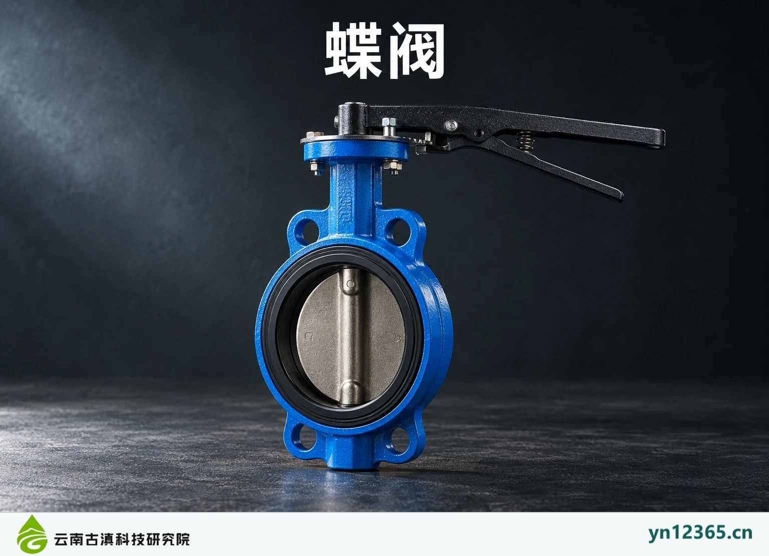 水处理蝶阀
