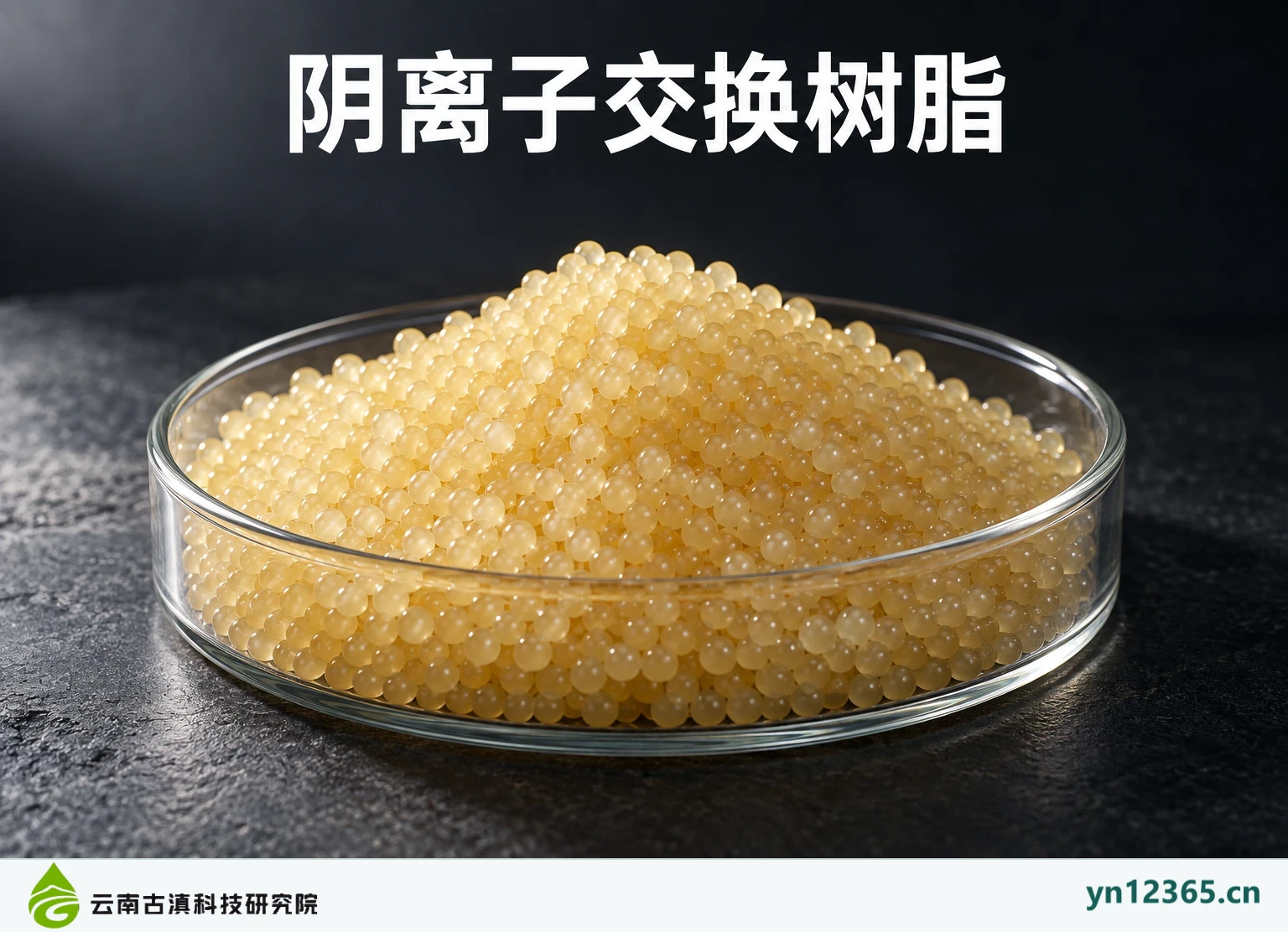 阴离子交换树脂