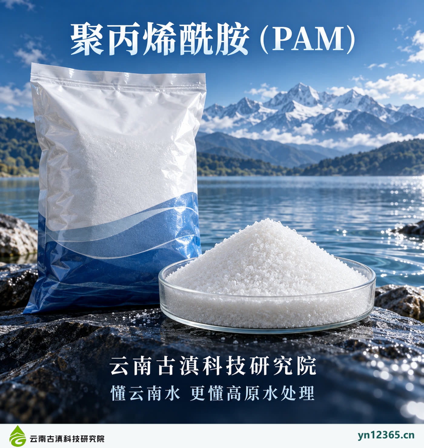 聚丙烯酰胺（PAM）