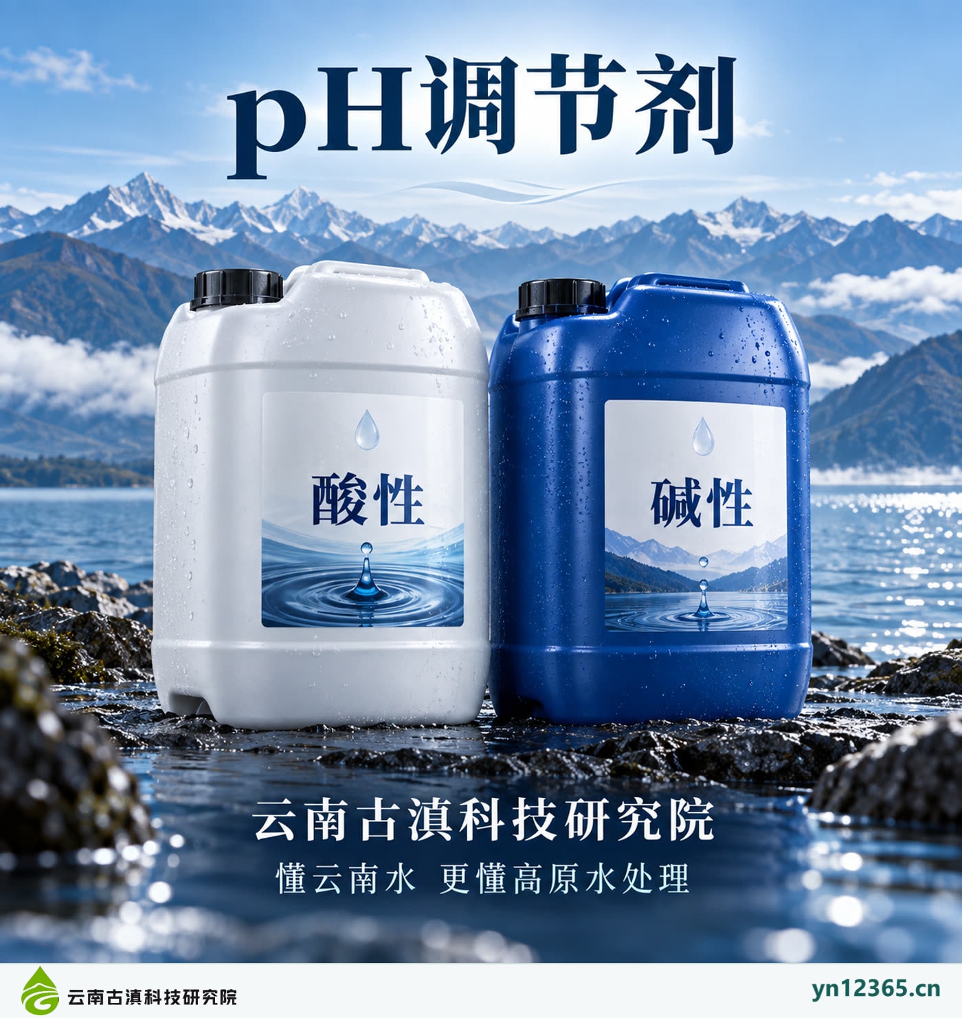 pH 调节剂